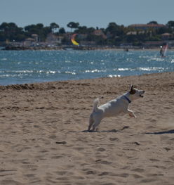 爱游戏下载-“天府新区沙滩赛场：沙滩合球挑战传统竞技”  第3张